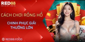 cách chơi Rồng Hổ không quá khó khăn hay phức tạp