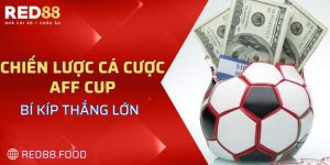 Chiến lược cá cược AFF Cup đóng vai trò quyết định