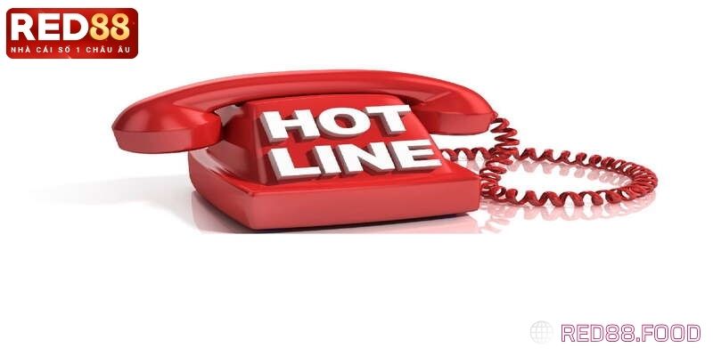 Liên hệ RED88 qua số di động hotline nhanh chóng