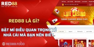 chính sách bảo mật của RED88 là gì